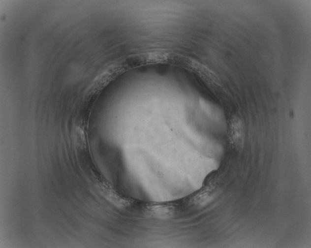 X0000077310522200611031643