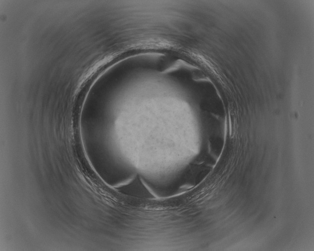 X0000077310531200611031643