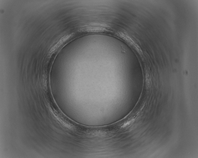 X0000077310533200611031643