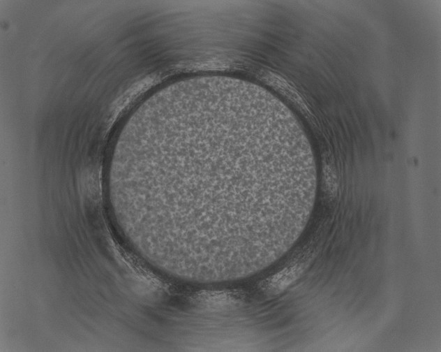 X0000077310534200611031643