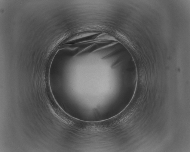 X0000077310538200611031643