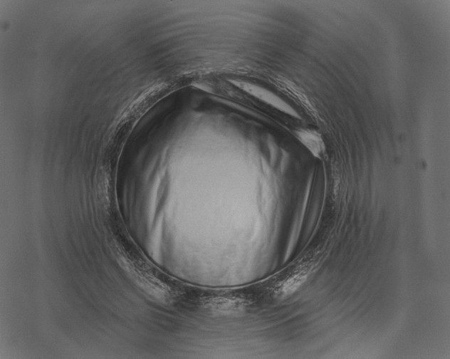 X0000077310542200611031643