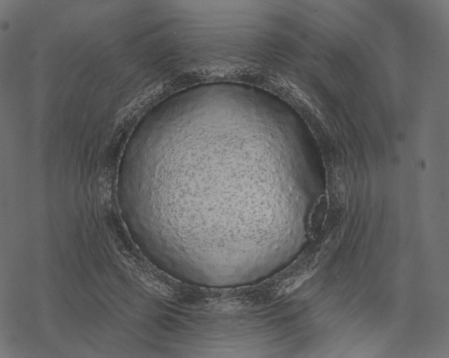 X0000077310545200611031643