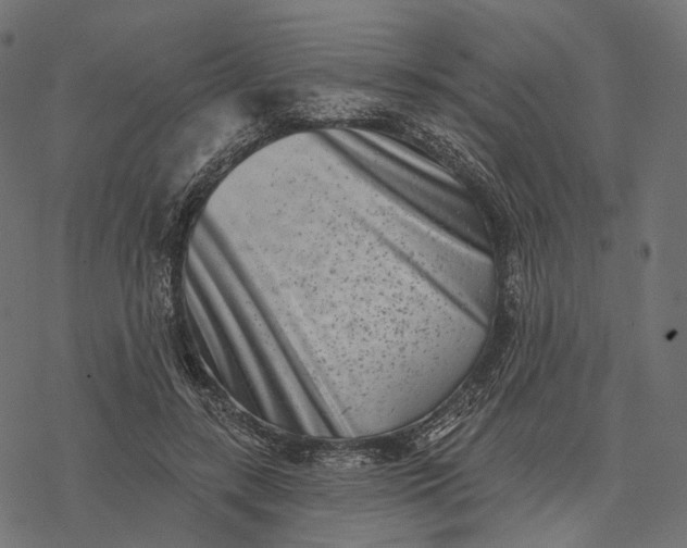 X0000077310547200611031643
