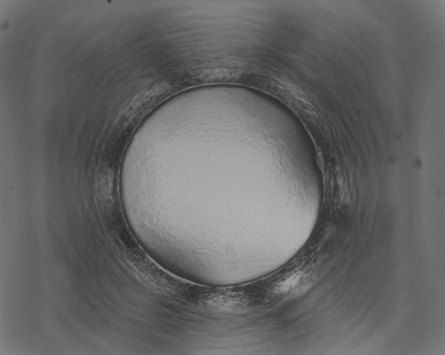 X0000077310550200611031643