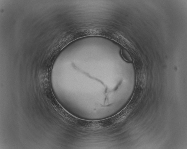 X0000077310553200611031643