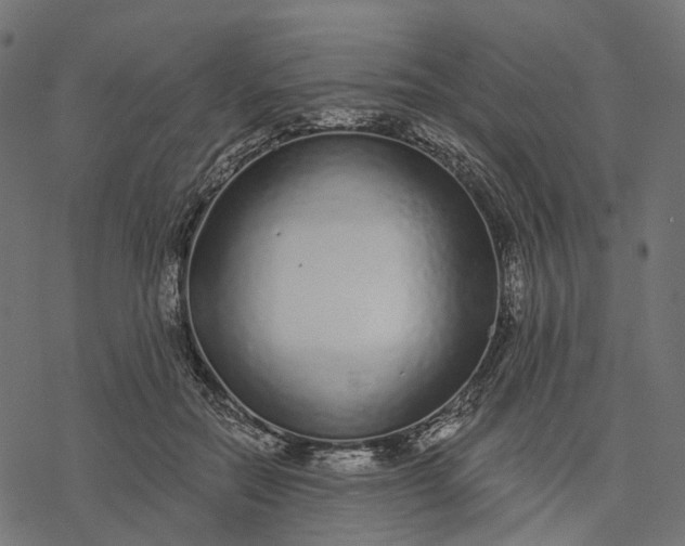 X0000077310554200611031643