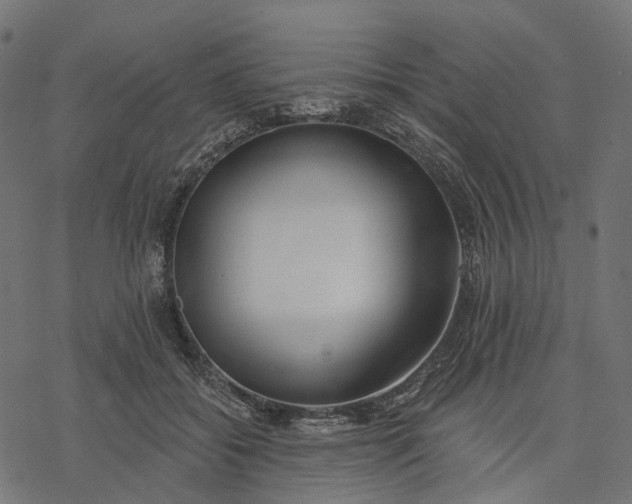 X0000077310556200611031643