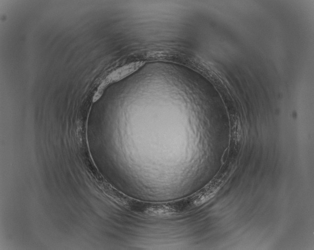 X0000077310557200611031643