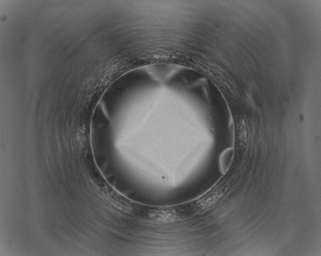 X0000077310559200611031643
