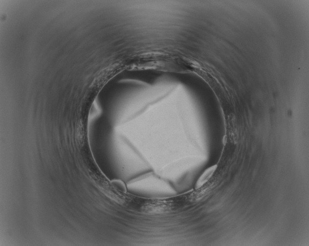X0000077310563200611031643