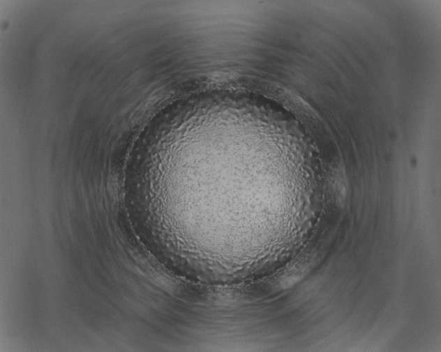 X0000077310565200611031643