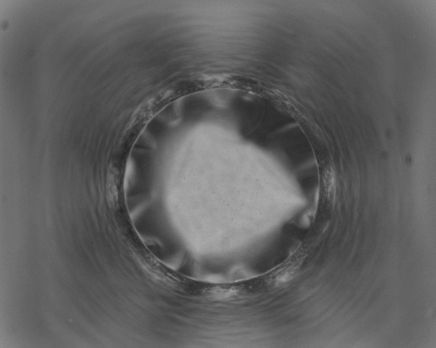 X0000077310570200611031643