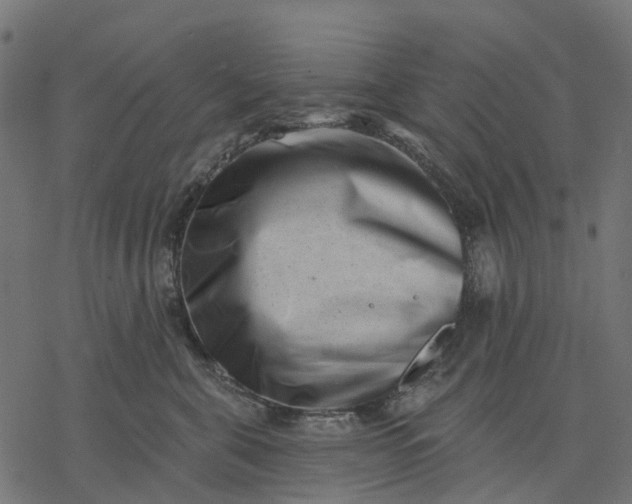 X0000077310571200611031643