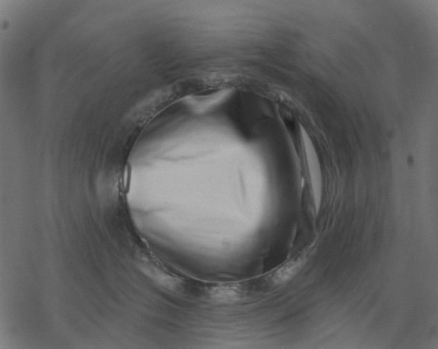 X0000077310574200611031643