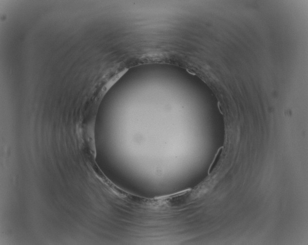X0000077310576200611031643