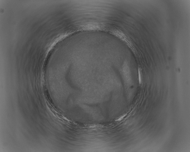 X0000077310579200611031643