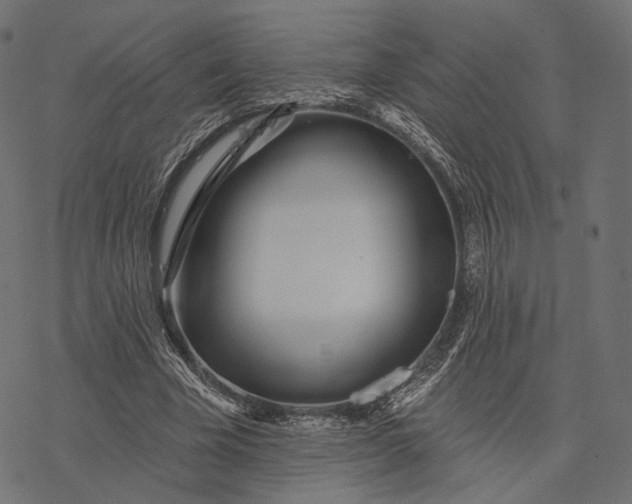 X0000077310585200611031642