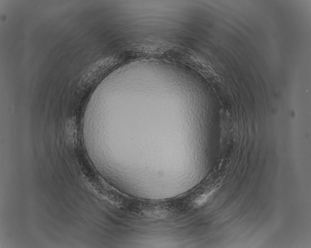 X0000077310594200611031642
