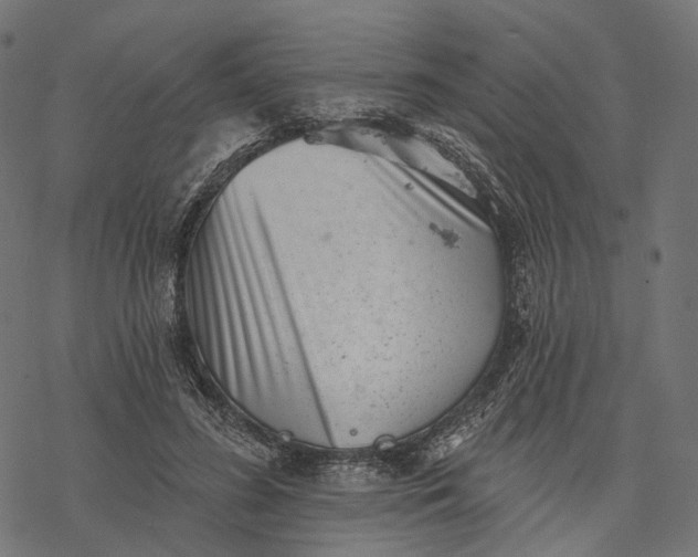 X0000077310596200611031642