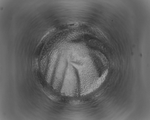 X0000077310598200611031642