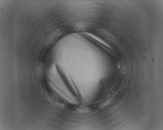 X0000077310603200611031642