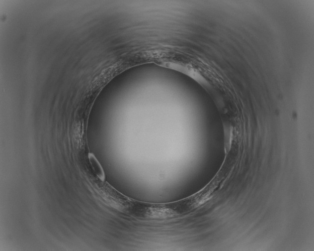 X0000077310605200611031642