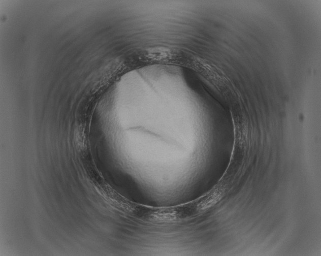 X0000077310606200611031642
