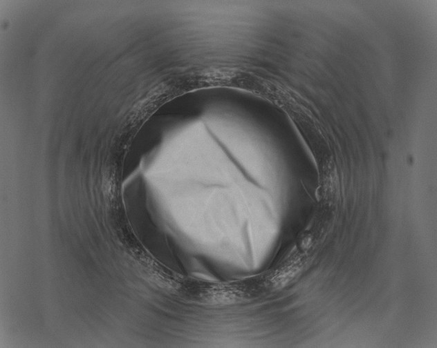 X0000077310608200611031642