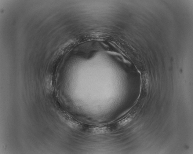 X0000077310615200611031642