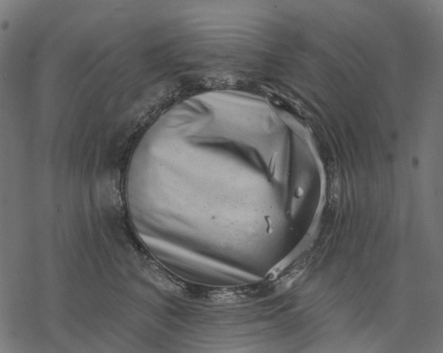 X0000077310616200611031642