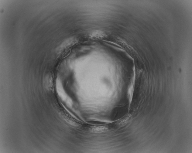 X0000077310619200611031642