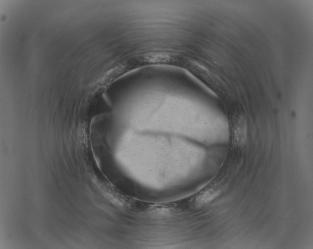 X0000077310620200611031642