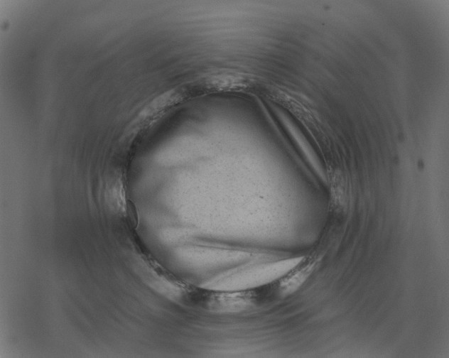 X0000077310622200611031642