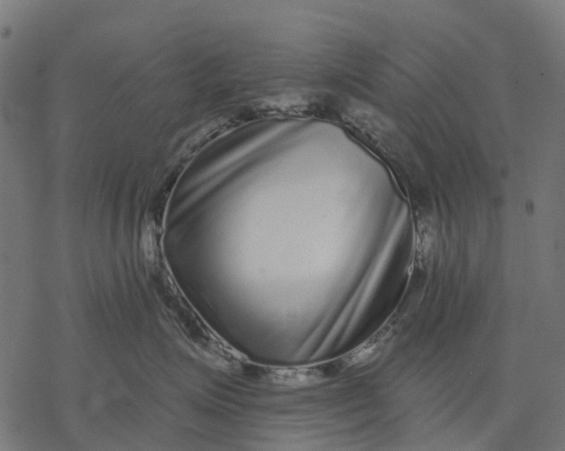 X0000077310623200611031642