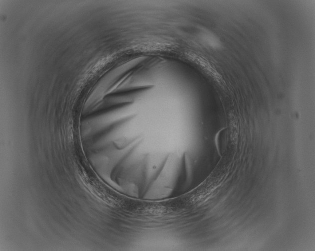 X0000077310631200611031641