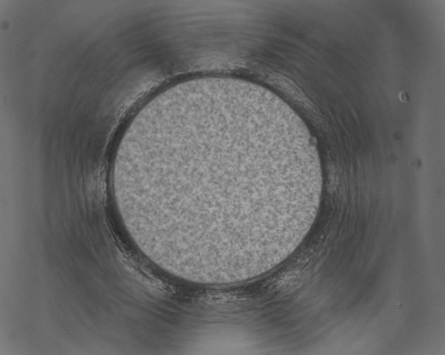 X0000077310632200611031641