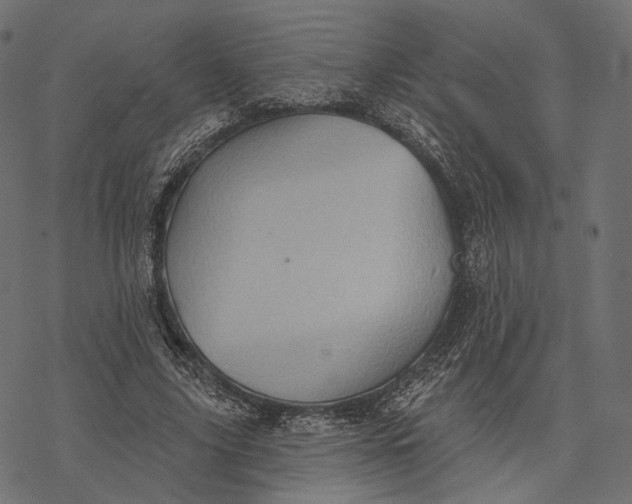 X0000077310635200611031641
