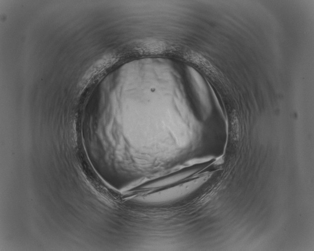 X0000077310638200611031641