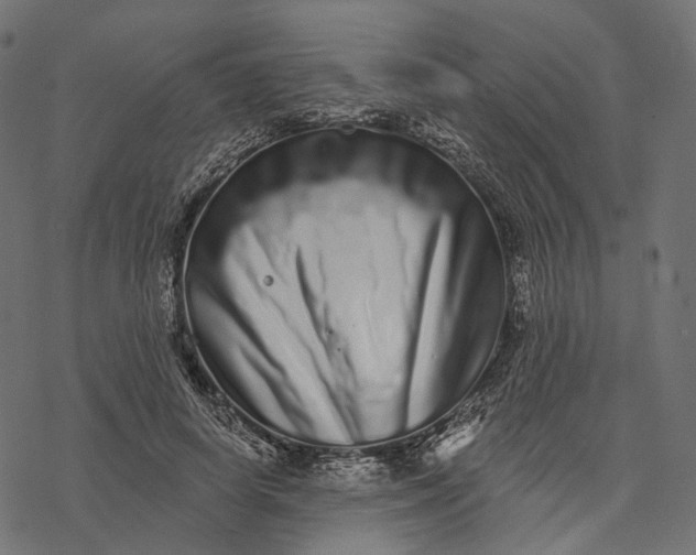 X0000077310642200611031641