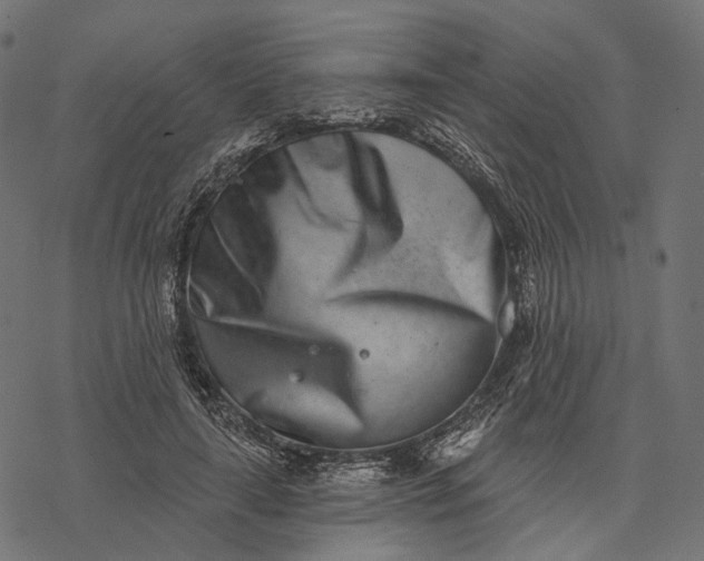 X0000077310643200611031641