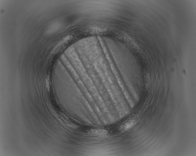 X0000077310644200611031641