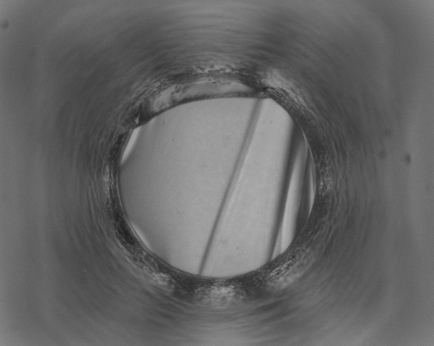 X0000077310647200611031641