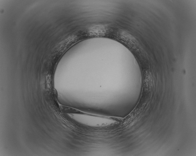 X0000077310649200611031641