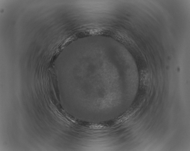 X0000077310650200611031641