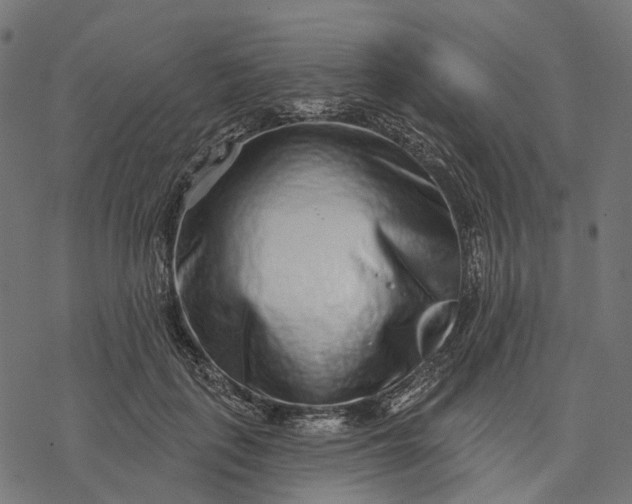X0000077310651200611031641