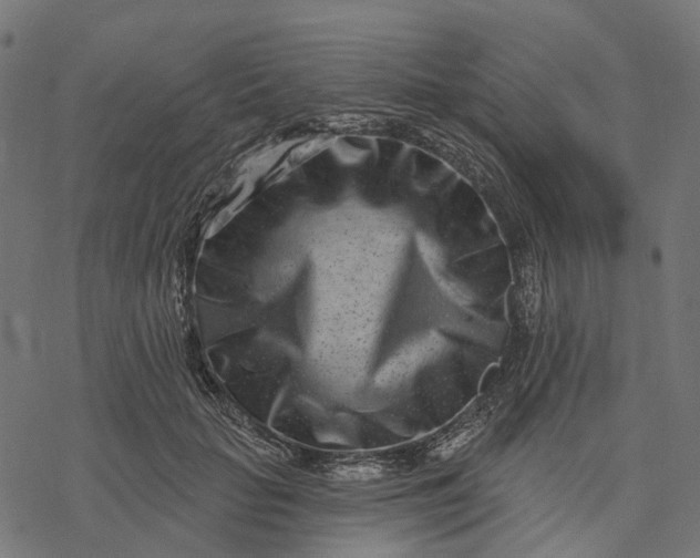 X0000077310653200611031641