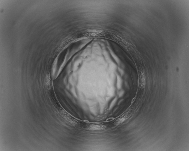X0000077310657200611031642