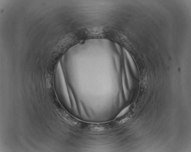 X0000077310658200611031642