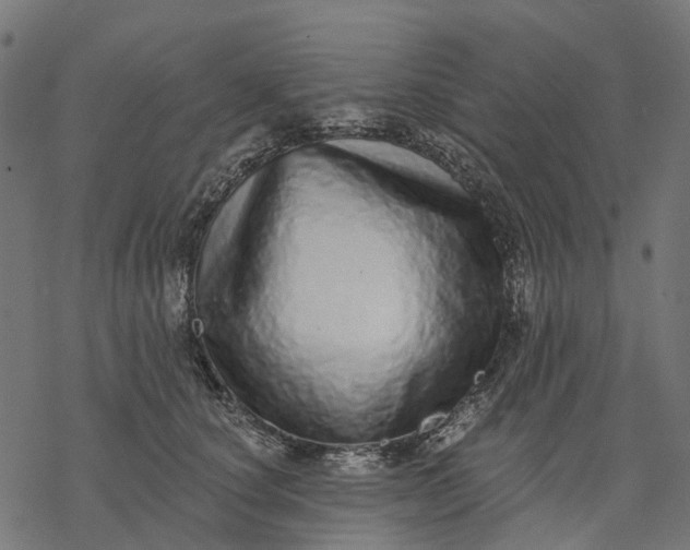 X0000077310660200611031642